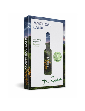 Dr. Spiller Rescue - Mystical Land