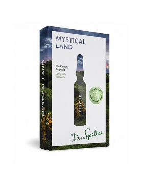 Dr. Spiller Rescue - Mystical Land